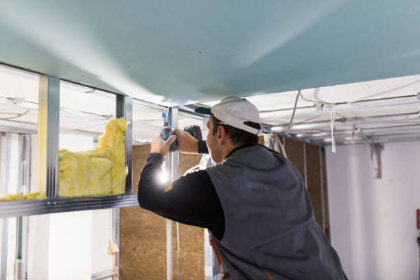 Best Insulation Installation Services in Moriarty, NM