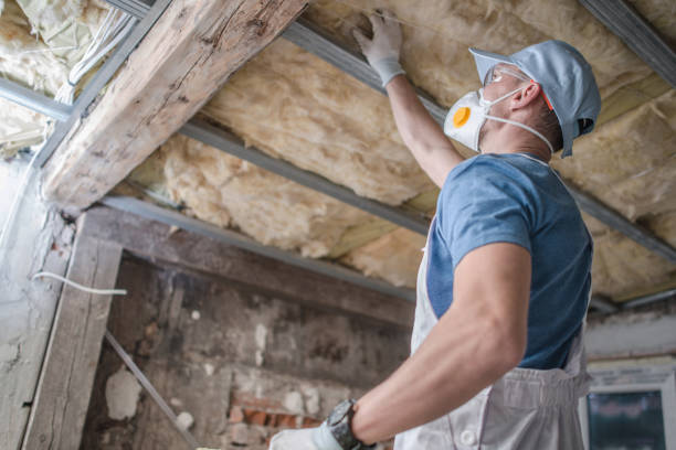 Best Commercial Insulation in Moriarty, NM