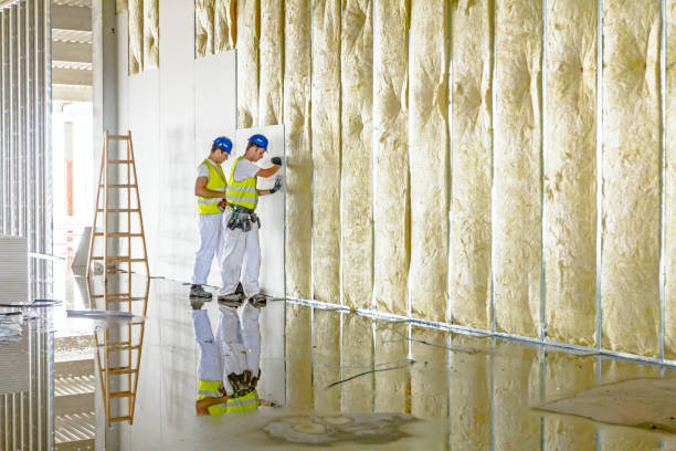 Best Insulation Maintenance and Repair in Moriarty, NM